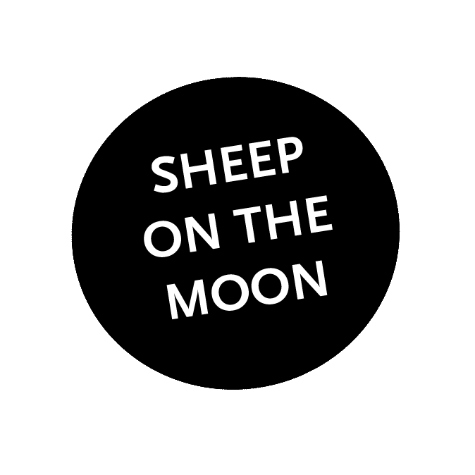Sheep on the Moon – Band